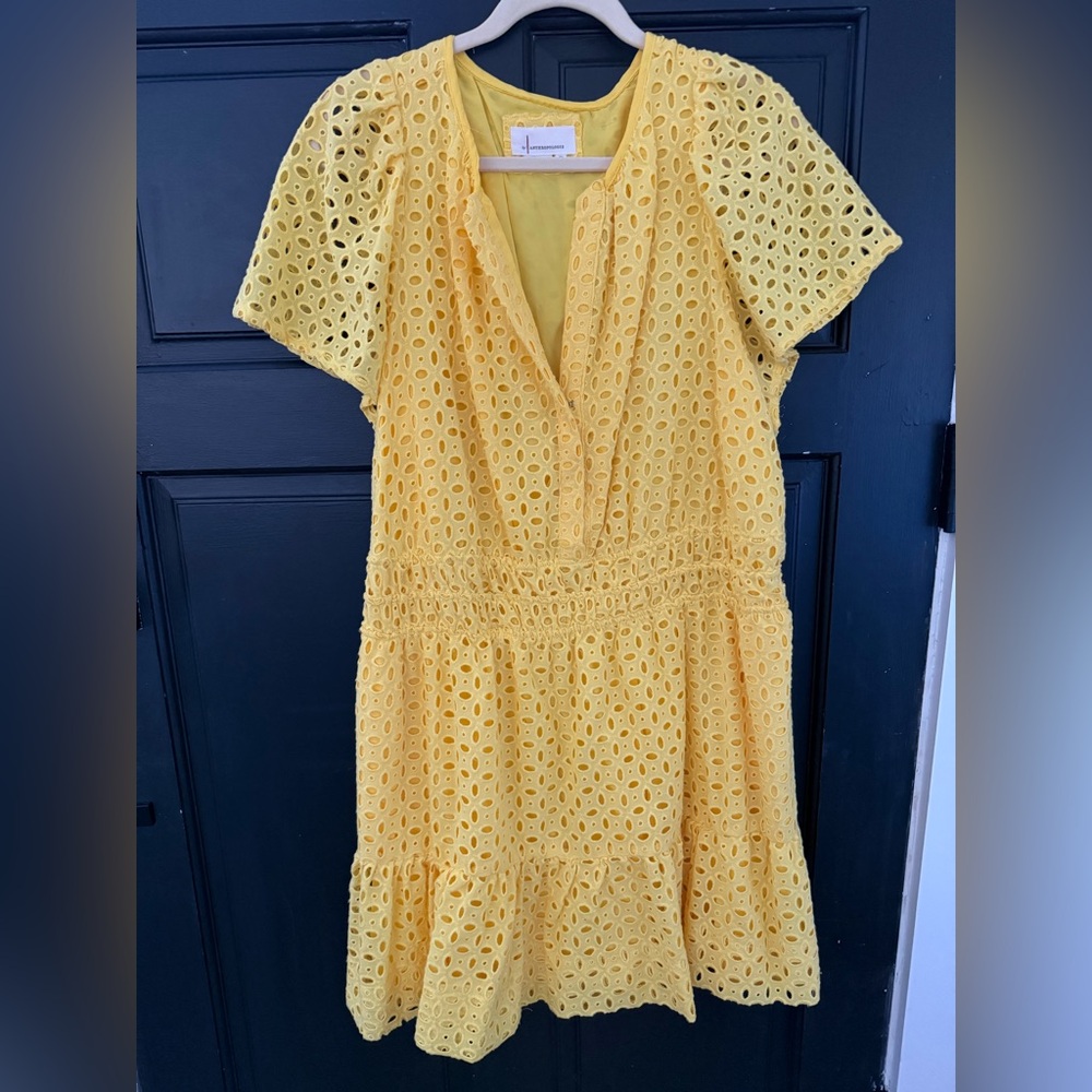 Anthropologie Mini Somerset Dress Size 2X